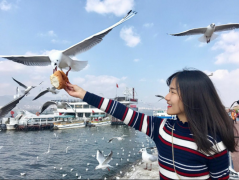 一根藤上七朵花！MBA和他的六個(gè)小兄弟